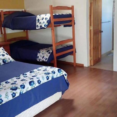 Hostal El Colibri Otel Vicuña Dış mekan fotoğraf