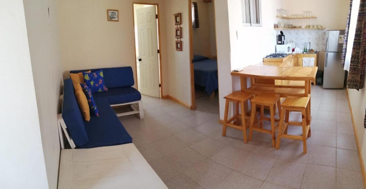 Hostal El Colibri Otel Vicuña Dış mekan fotoğraf