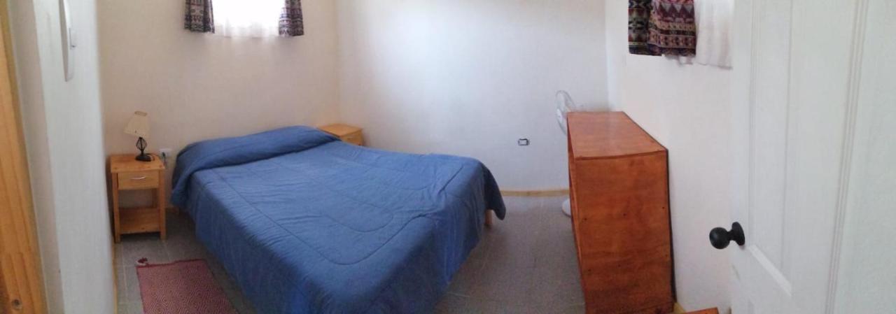 Hostal El Colibri Otel Vicuña Dış mekan fotoğraf