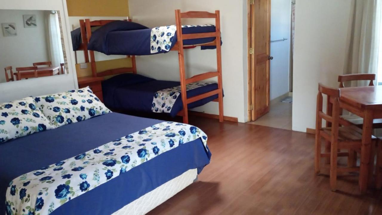 Hostal El Colibri Otel Vicuña Dış mekan fotoğraf