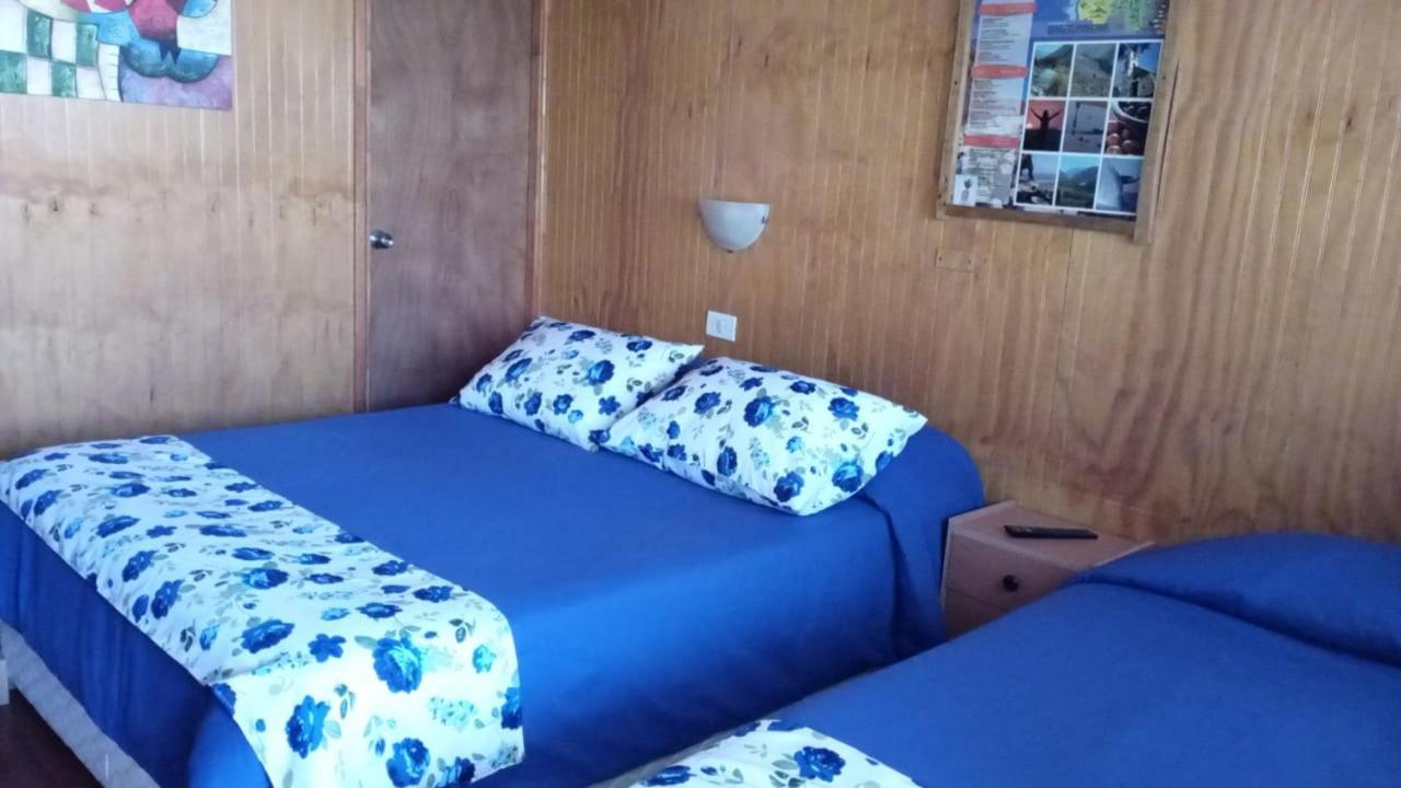 Hostal El Colibri Otel Vicuña Dış mekan fotoğraf