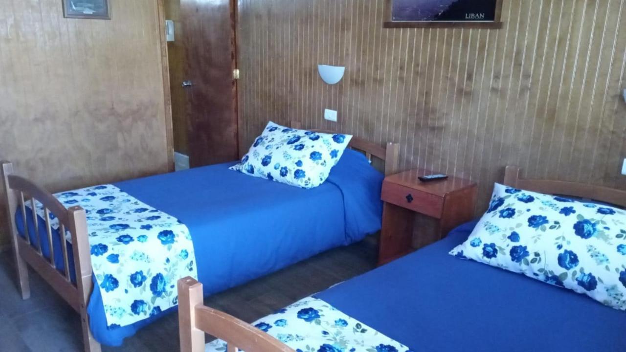 Hostal El Colibri Otel Vicuña Dış mekan fotoğraf