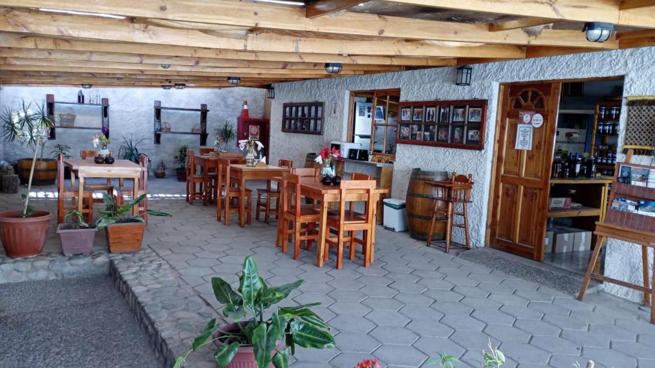 Hostal El Colibri Otel Vicuña Dış mekan fotoğraf