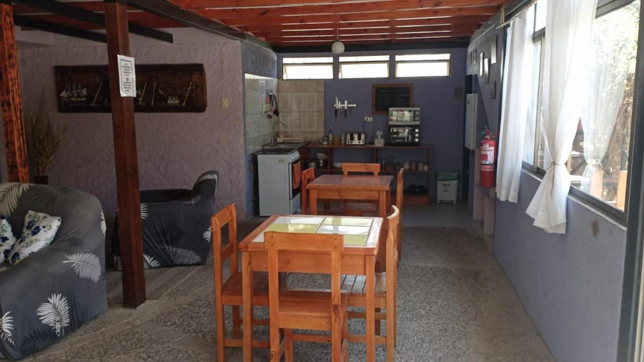 Hostal El Colibri Otel Vicuña Dış mekan fotoğraf