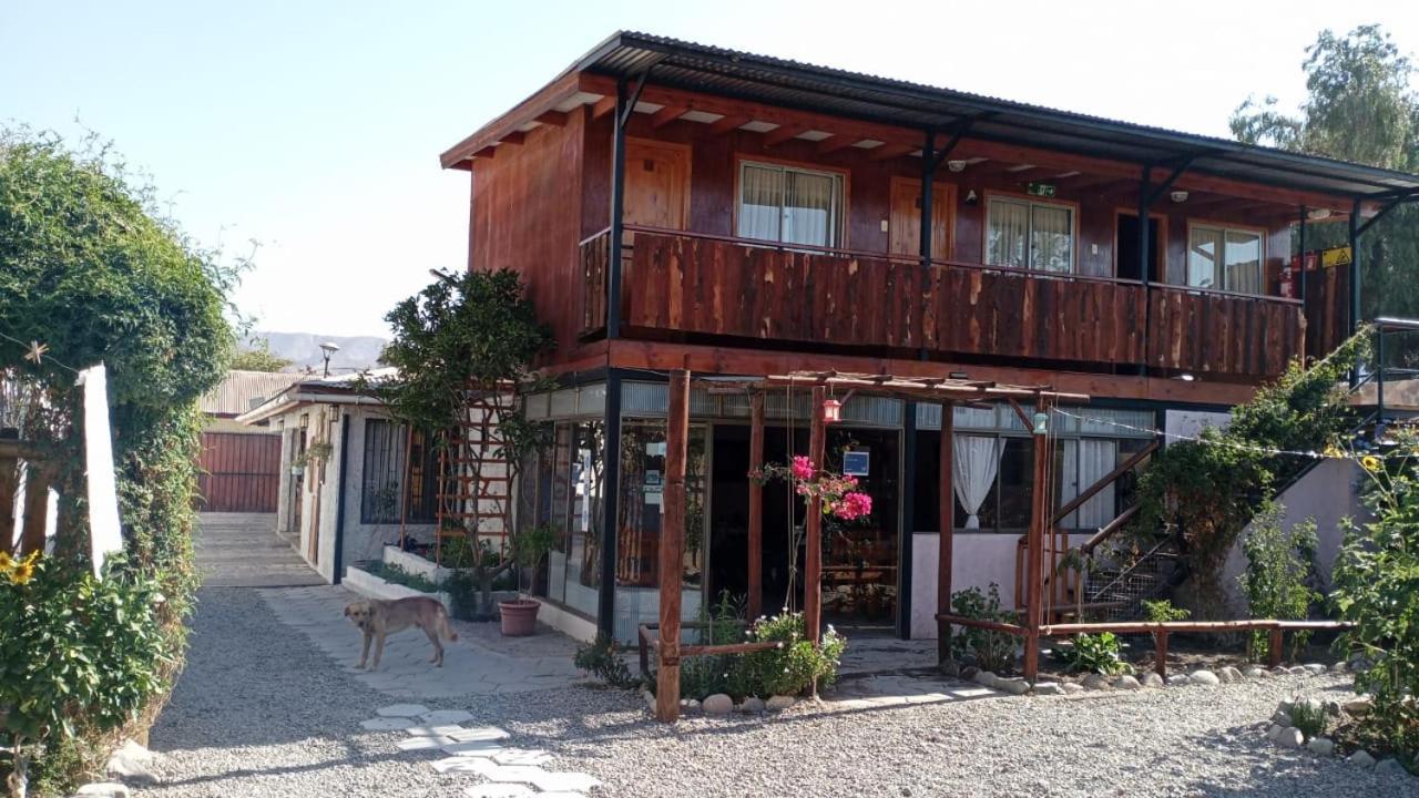 Hostal El Colibri Otel Vicuña Dış mekan fotoğraf