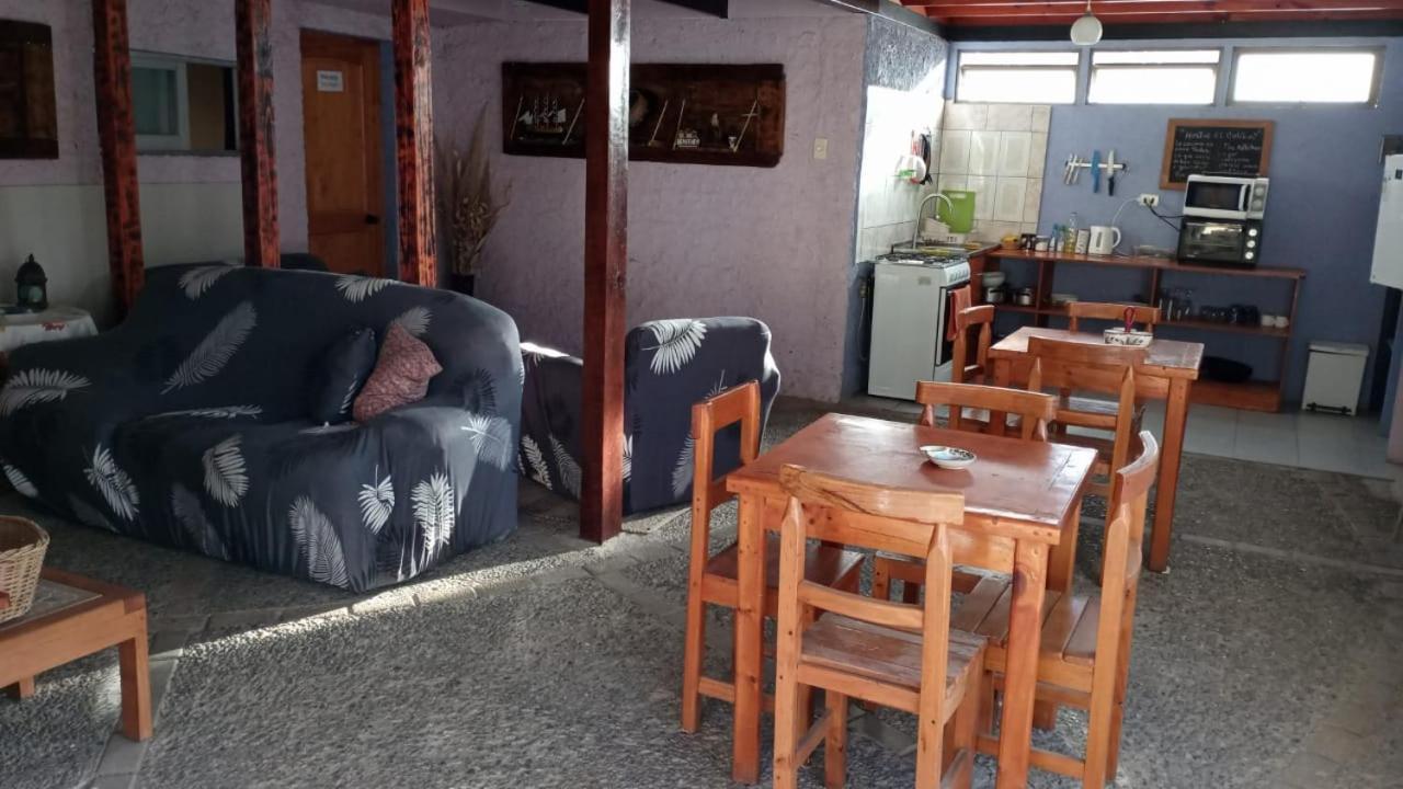 Hostal El Colibri Otel Vicuña Dış mekan fotoğraf