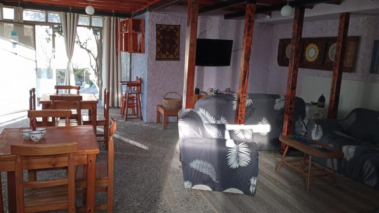 Hostal El Colibri Otel Vicuña Dış mekan fotoğraf