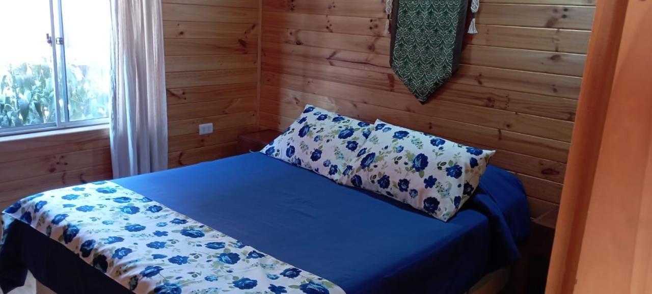 Hostal El Colibri Otel Vicuña Dış mekan fotoğraf