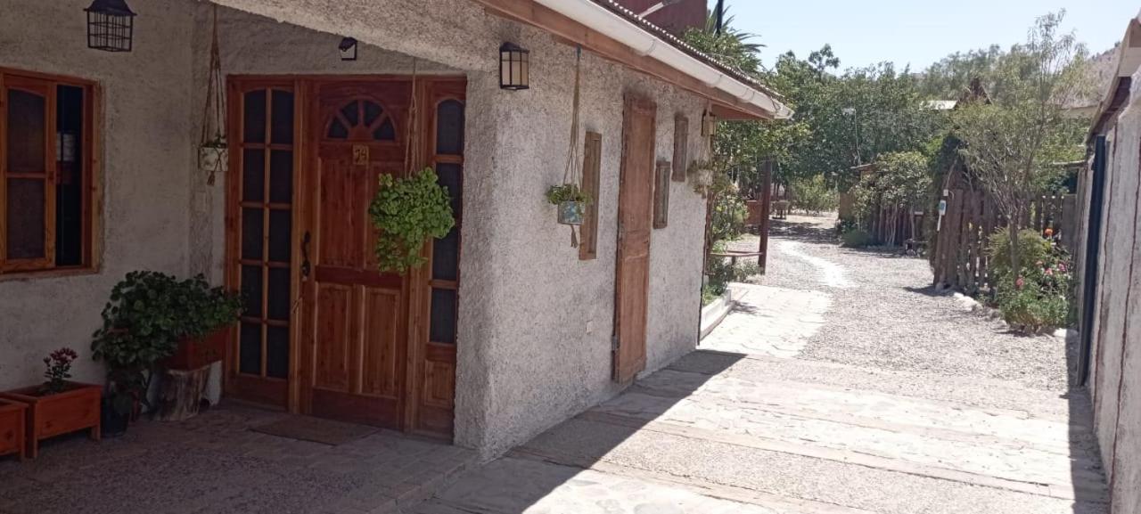 Hostal El Colibri Otel Vicuña Dış mekan fotoğraf